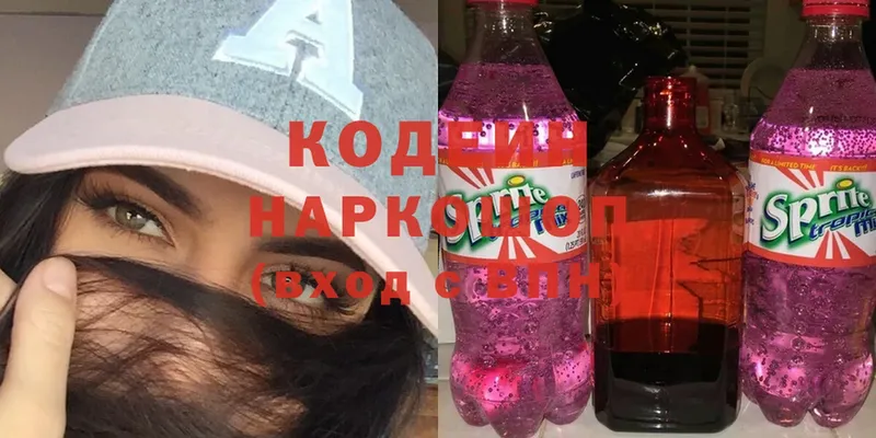 цены наркотик  Ефремов  Кодеиновый сироп Lean Purple Drank 